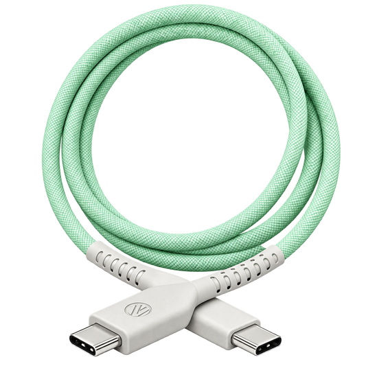 C to C Data Cable (100W)
